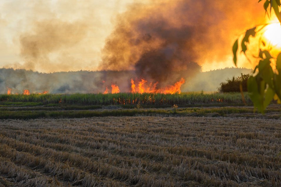 case de sucesso em Ação indenizatória por incêndio em propiedade rural